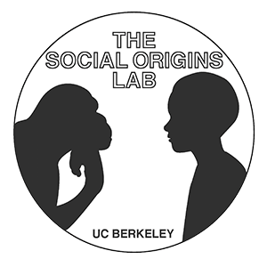 The Social Origins Lab